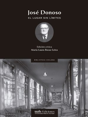 cover image of El lugar sin límites